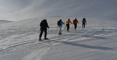 Guia per raquetes de neu
