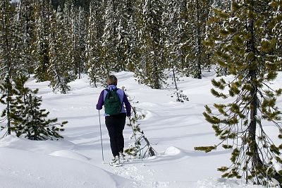 Ruta amb guia per la molina