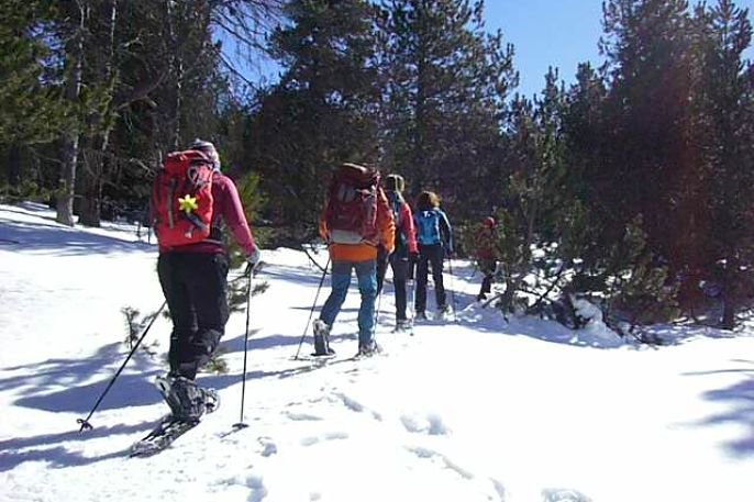 Raquetas de Nieve en Las Bullosas